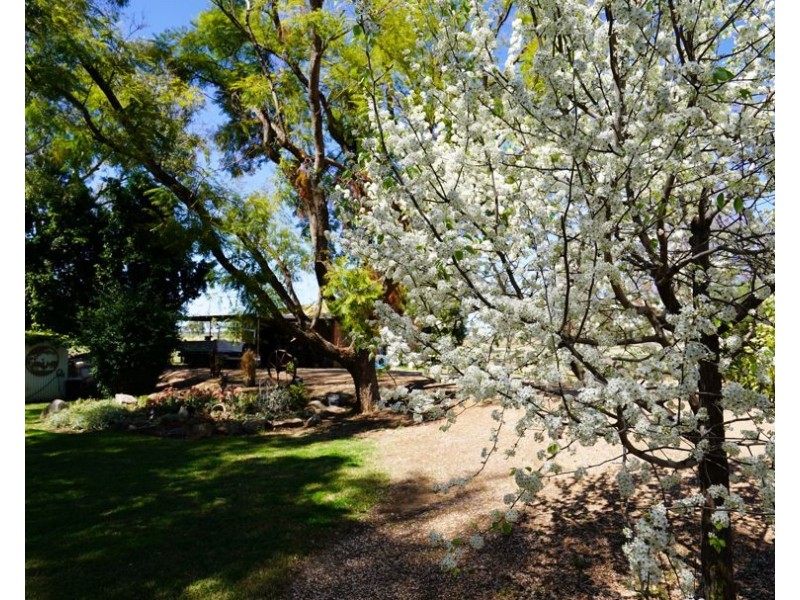 261 River ST, Moree NSW 2400