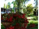 261 River ST, Moree NSW 2400