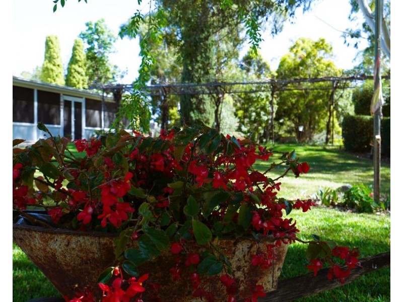 261 River ST, Moree NSW 2400