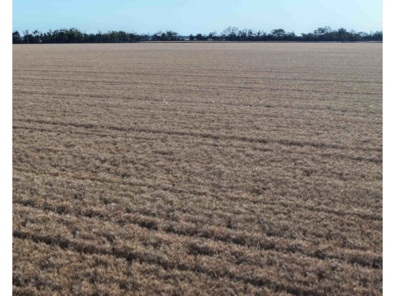 The Ponds, Moree NSW 2400