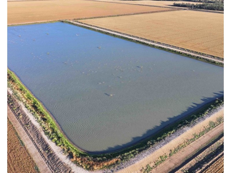 The Ponds, Moree NSW 2400