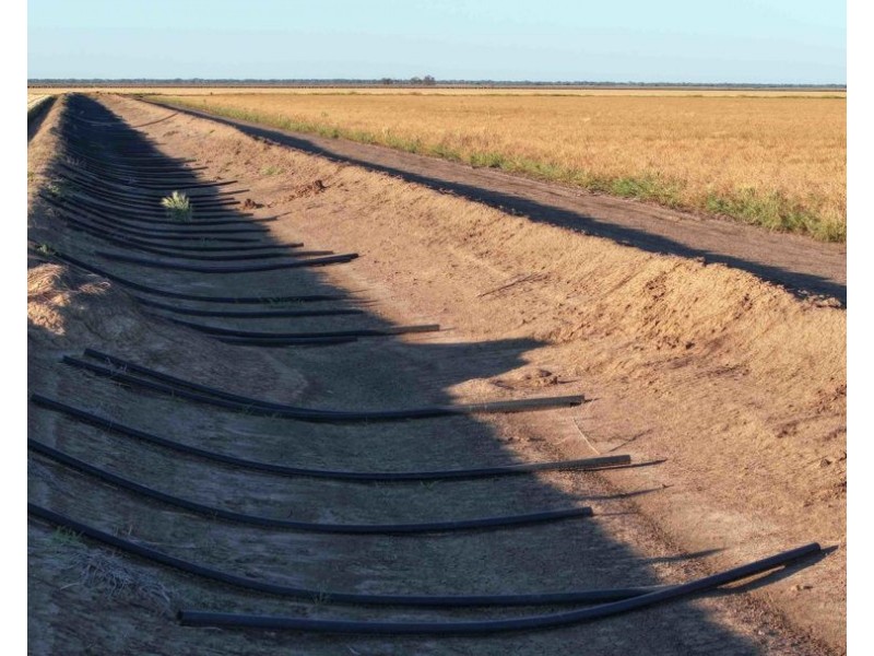 The Ponds, Moree NSW 2400