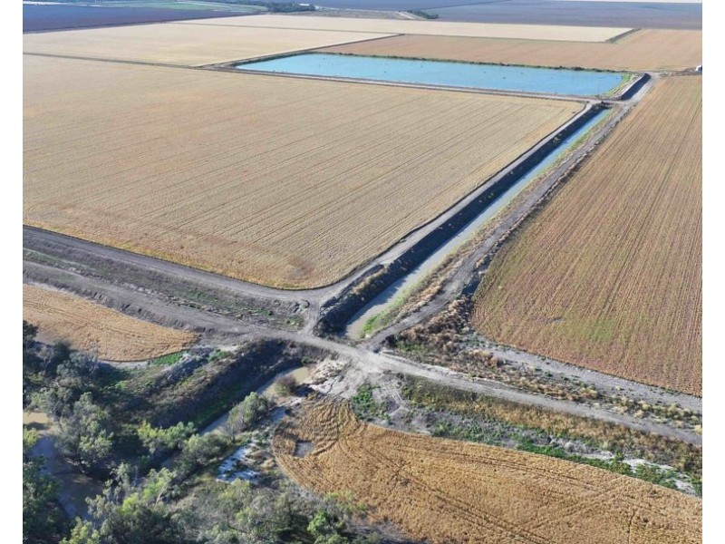 The Ponds, Moree NSW 2400