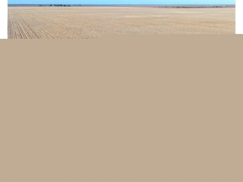 The Ponds, Moree NSW 2400