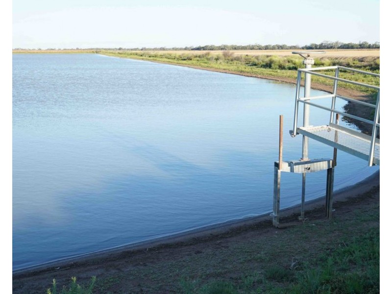 The Ponds, Moree NSW 2400