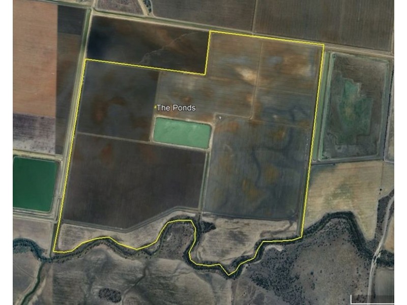 The Ponds, Moree NSW 2400