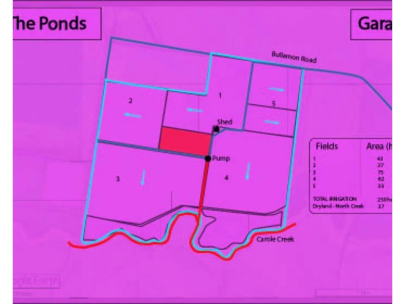 The Ponds, Moree NSW 2400