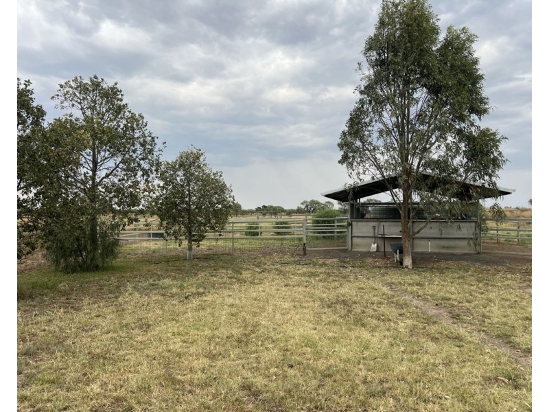 48 Gurley Settlers Road, Gurley NSW 2398