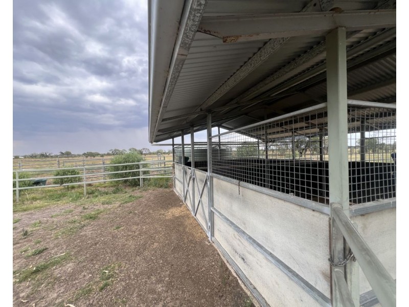 48 Gurley Settlers Road, Gurley NSW 2398