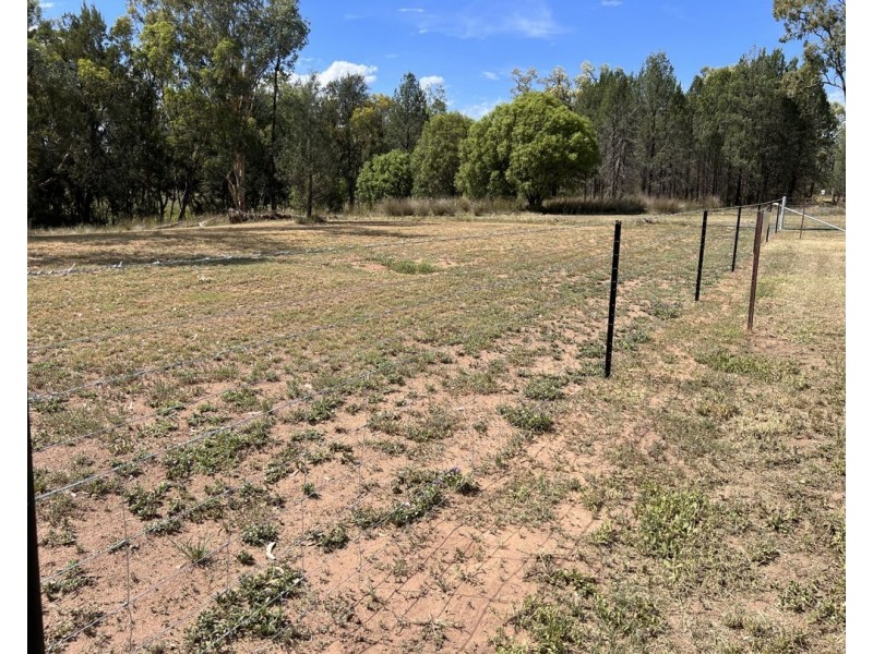 4415 Terry Hie Hie Rd, Moree NSW 2400
