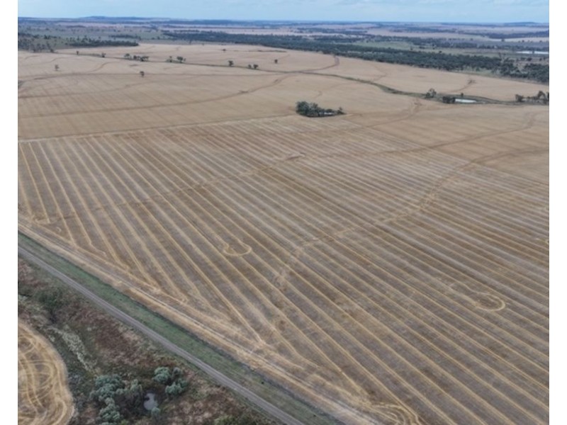 Postmans, Warialda NSW 2402