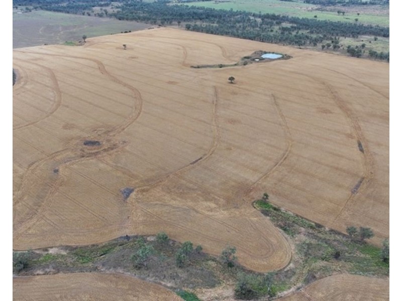 Postmans, Warialda NSW 2402