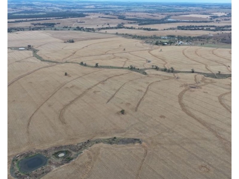 Postmans, Warialda NSW 2402