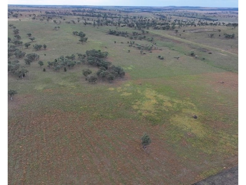 Postmans, Warialda NSW 2402