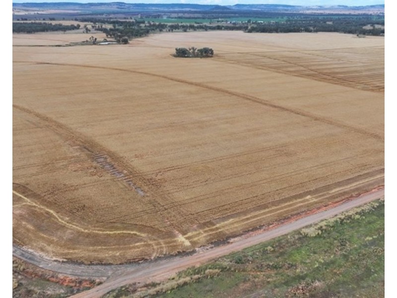 Postmans, Warialda NSW 2402