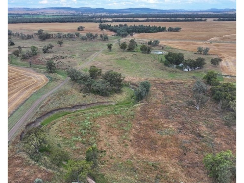 Postmans, Warialda NSW 2402