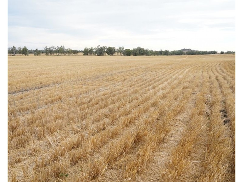 Postmans, Warialda NSW 2402
