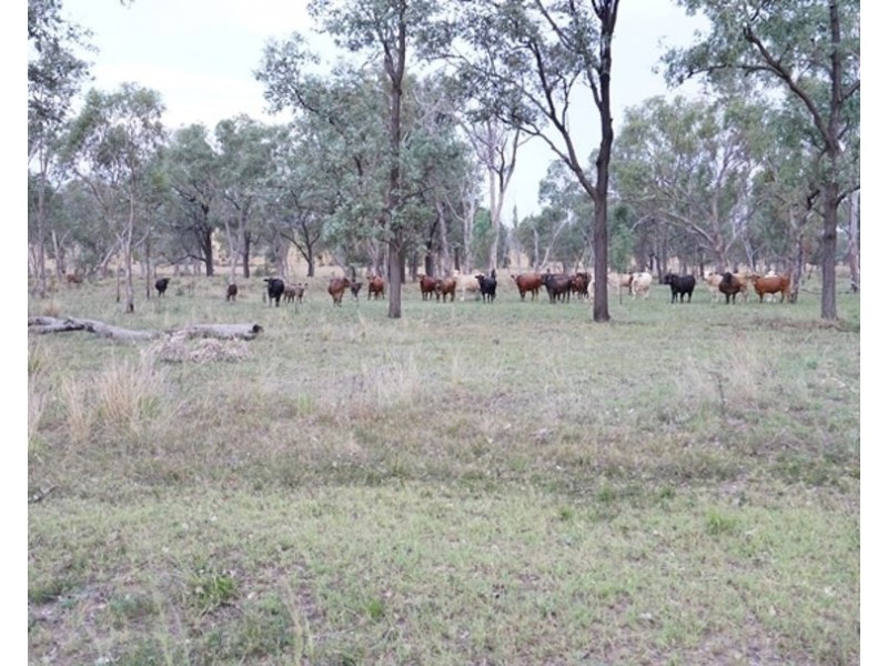 Postmans, Warialda NSW 2402