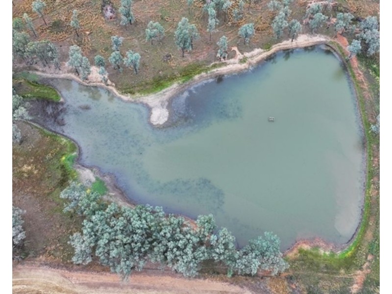 Postmans, Warialda NSW 2402