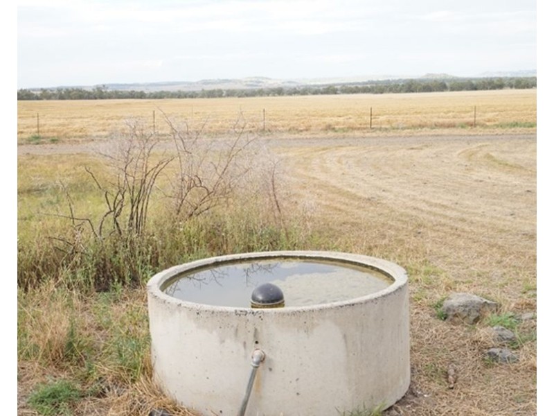 Postmans, Warialda NSW 2402