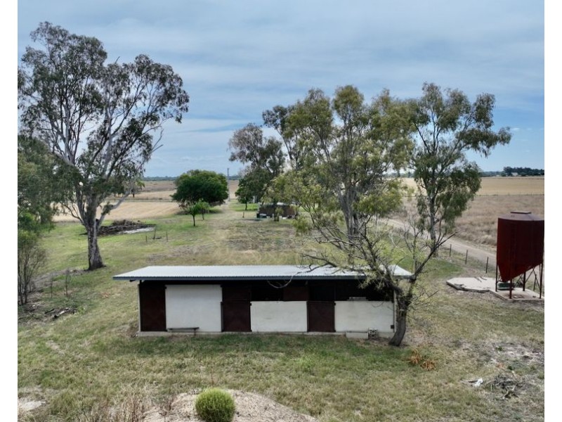 414 Gwydirfield Road, Moree NSW 2400