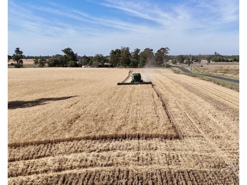 414 Gwydirfield Road, Moree NSW 2400