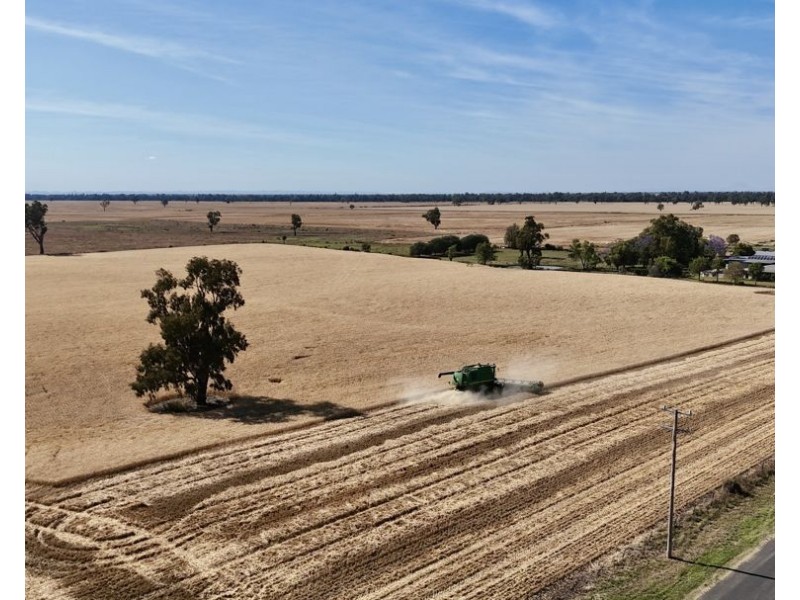 414 Gwydirfield Road, Moree NSW 2400