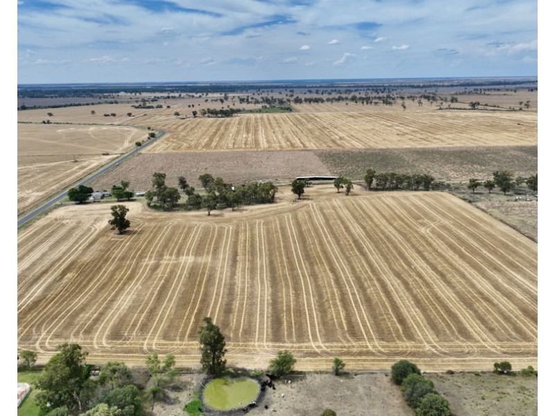 414 Gwydirfield Road, Moree NSW 2400