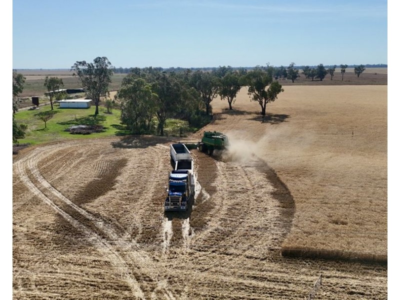 414 Gwydirfield Road, Moree NSW 2400