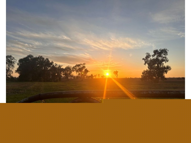 414 Gwydirfield Road, Moree NSW 2400