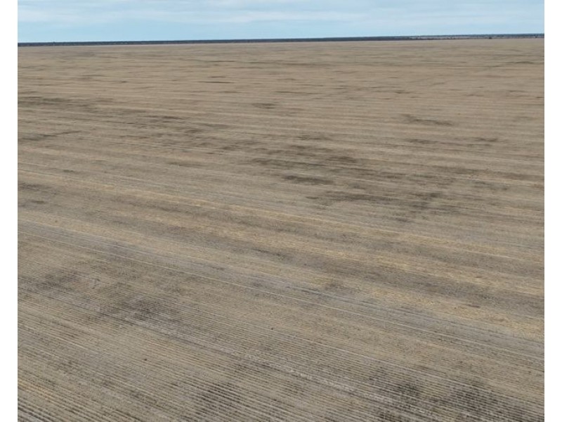 Part Rexeen, Part Wandella, Part Allawah, Lightning Ridge NSW 2834