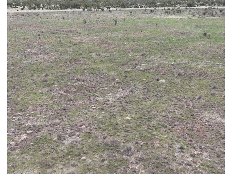 Part Rexeen, Part Wandella, Part Allawah, Lightning Ridge NSW 2834