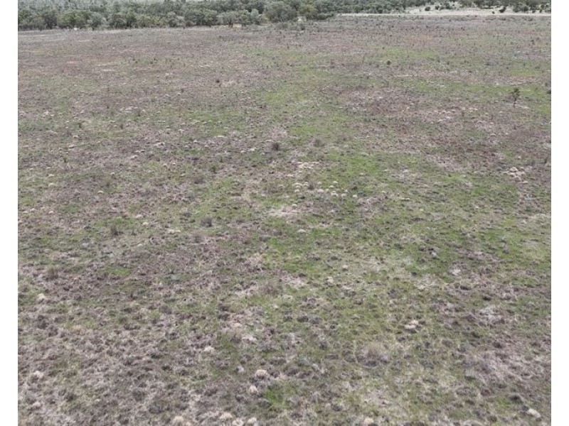 Part Rexeen, Part Wandella, Part Allawah, Lightning Ridge NSW 2834