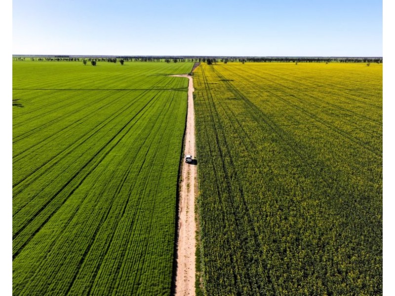 Terlings, Moree NSW 2400