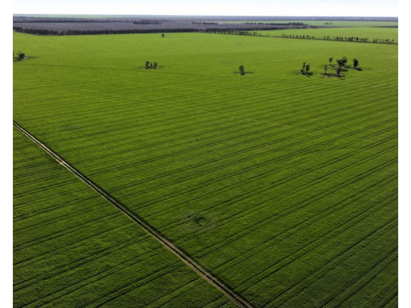 Terlings, Moree NSW 2400