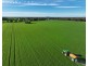 Wilgaroi, Bellata NSW 2397