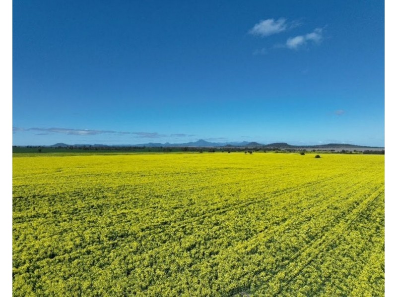 Wilgaroi, Bellata NSW 2397