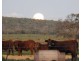 Wilgaroi, Bellata NSW 2397