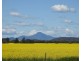 Wilgaroi, Bellata NSW 2397