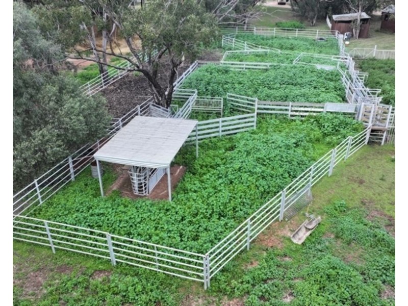 Wilgaroi, Bellata NSW 2397