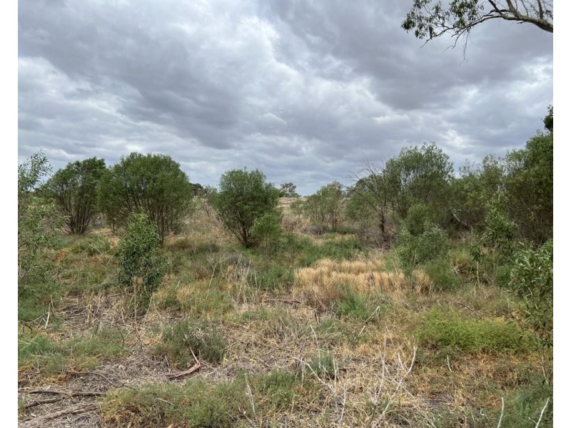 220-226 Fox Street, Walgett NSW 2832