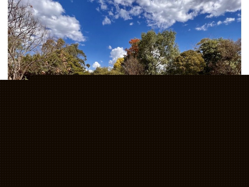 15 Carwee Street, Moree NSW 2400