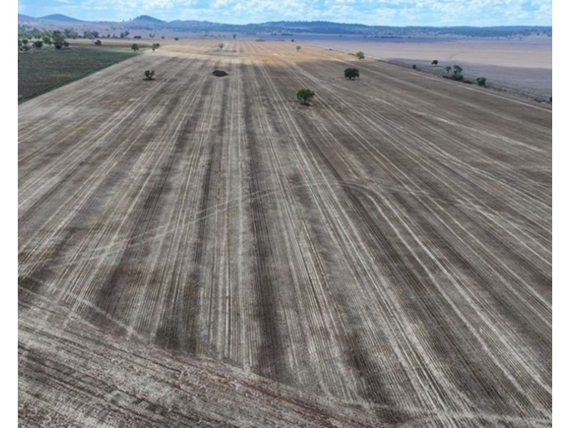 Mundry, Goolhi NSW 2379