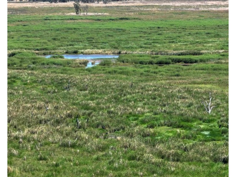 Eureka, Moree NSW 2400