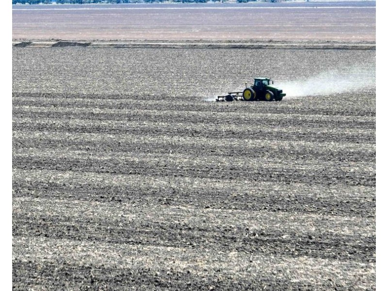 Eureka, Moree NSW 2400