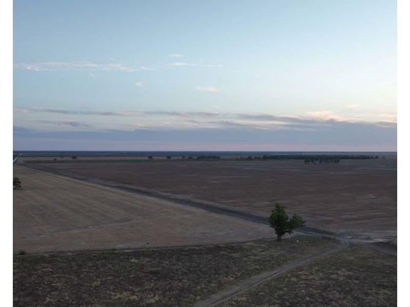 Eureka, Moree NSW 2400