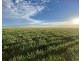 Glenallyn & Pratts Hut, Brewarrina NSW 2839