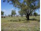 Glenallyn & Pratts Hut, Brewarrina NSW 2839