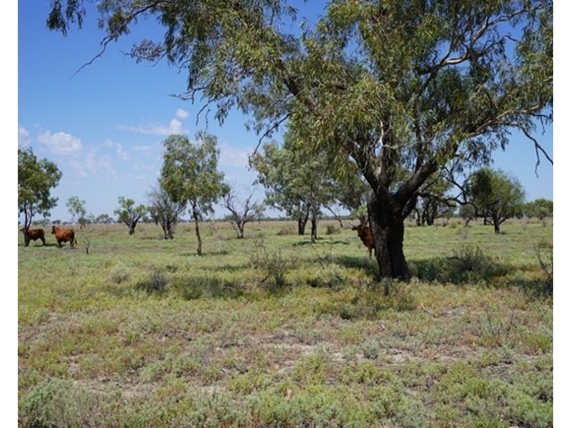 Glenallyn & Pratts Hut, Brewarrina NSW 2839