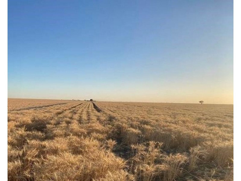 Glenallyn & Pratts Hut, Brewarrina NSW 2839